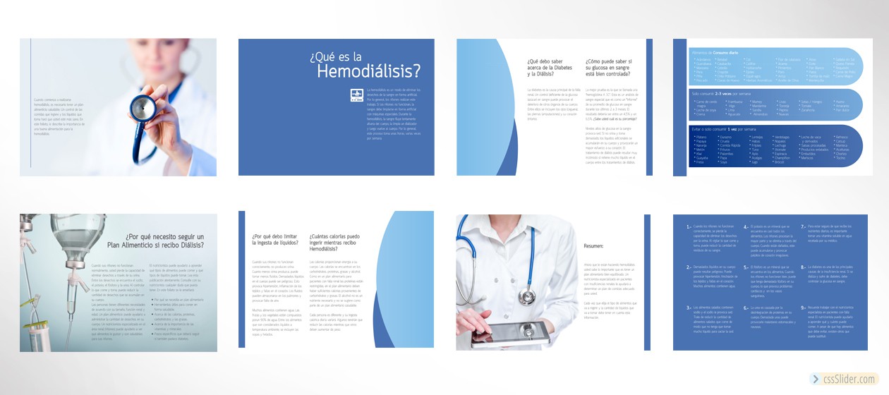 Brouchure - Hospital del Prado